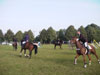 (77 kb)